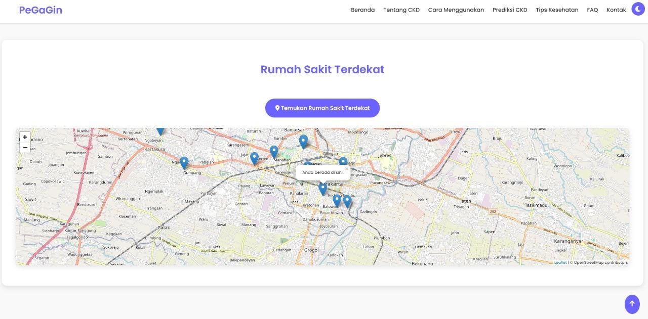 Pegagin — kidney-disease detection web app (XGBoost, 99%)